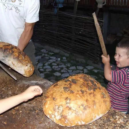Gerendaház Pensiunea Aranyos